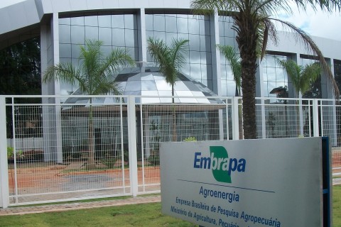 Embrapa publica edital com salários de até R$ 12 mil; veja como participar